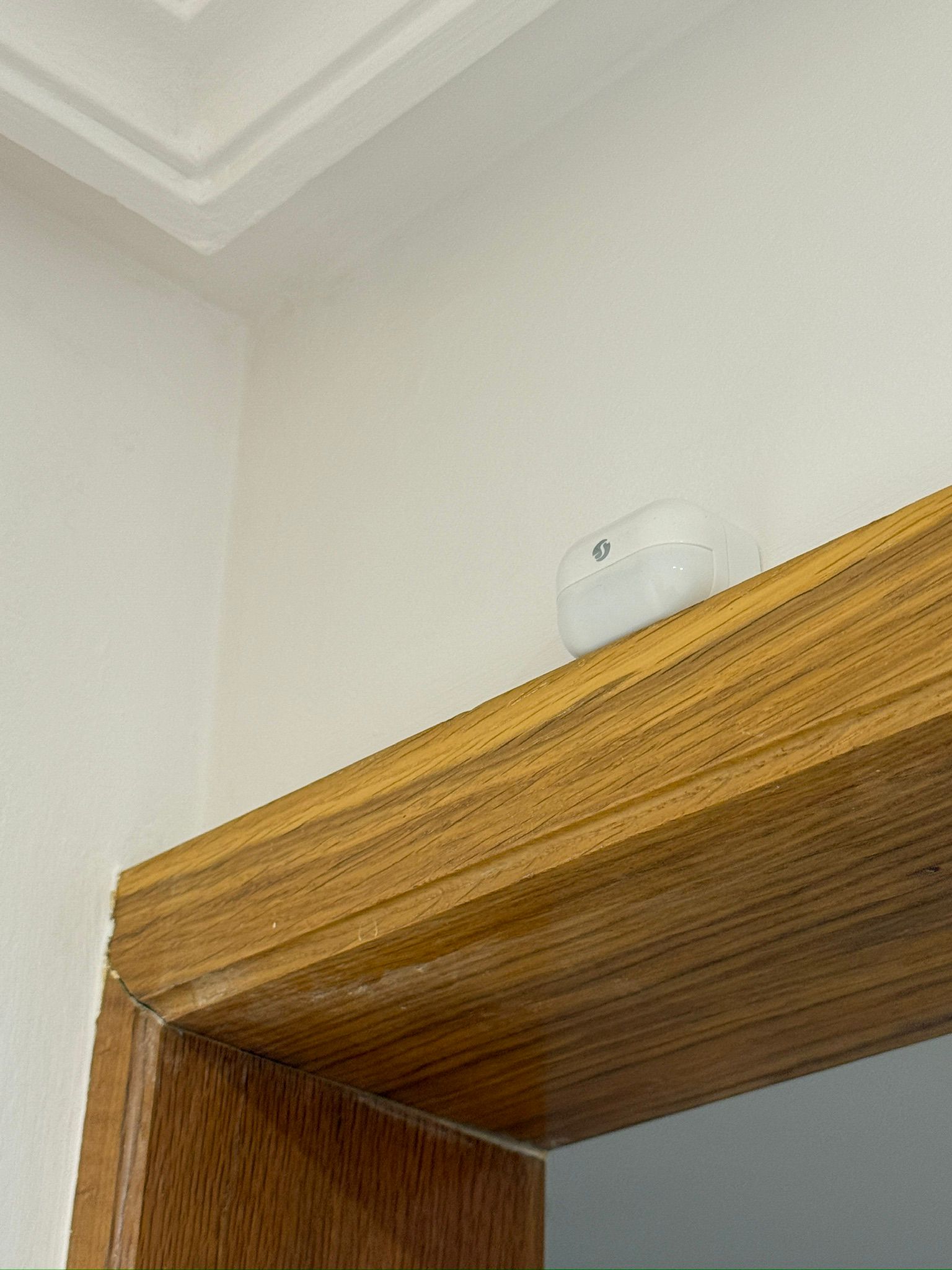 Motion Sensor Above Door